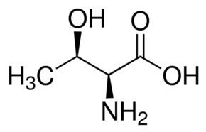 Threonine LThreonine reagent grade 98 HPLC SigmaAldrich