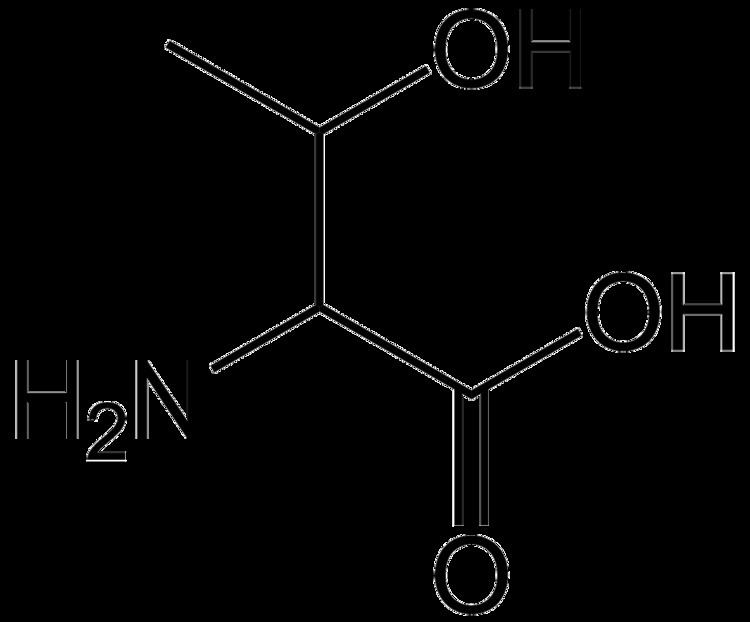 Threonine FileThreonine simplepng Wikimedia Commons