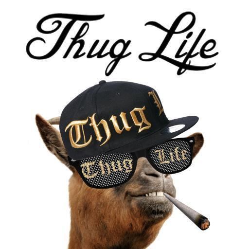 Thug Life Thug Life Maker thuglifemaker Twitter