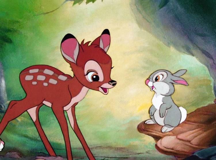 Thumper (Bambi) Bambi and Thumper Are Real Baby Deer and Bunny Play Together in