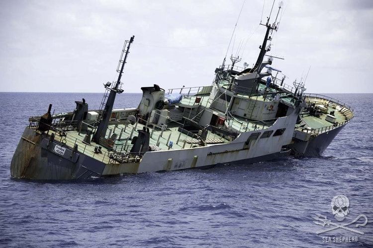 Thunder (ship) Sea Shepherd Conservation Society Poaching Vessel Thunder Sinks