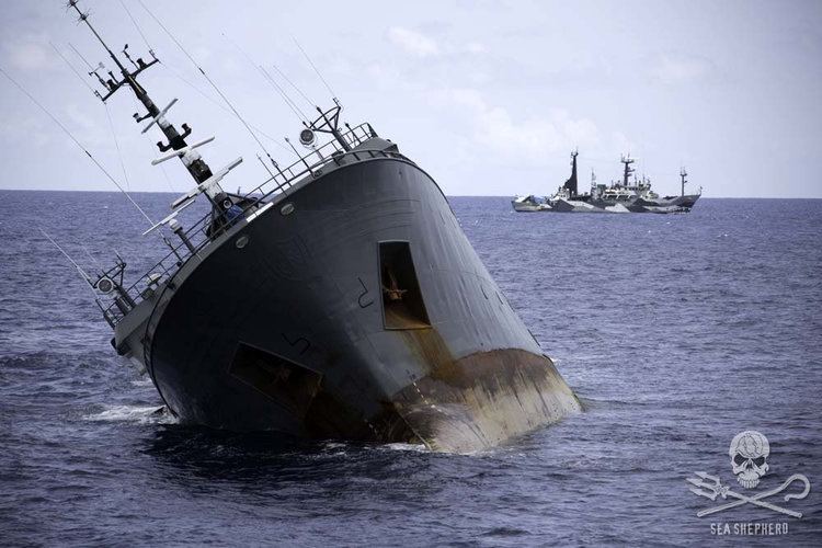 Thunder (ship) Sea Shepherd Conservation Society Poaching Vessel Thunder Sinks