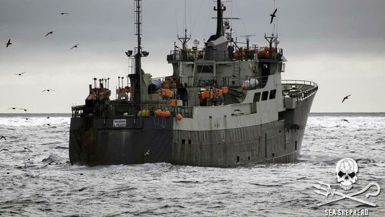 Thunder (ship) Captain Crew Convicted in Illegal Fishing Case