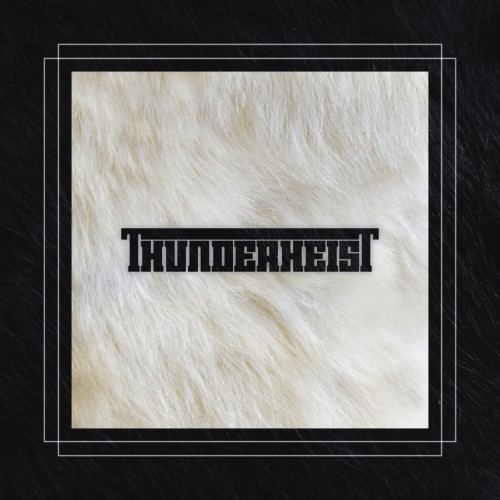 Thunderheist Thunderheist Artist Ninja Tune