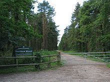 Thurlbear Wood and Quarrylands httpsuploadwikimediaorgwikipediacommonsthu
