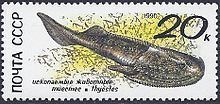Thyestes (fish) httpsuploadwikimediaorgwikipediacommonsthu
