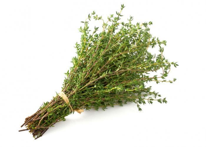 Thyme What are the Health Benefits of Thyme Medical News Today
