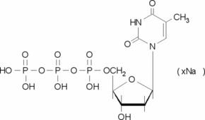 Thymidine triphosphate Thymidine 5triphosphate sodium salt solution 10 mM pH 70