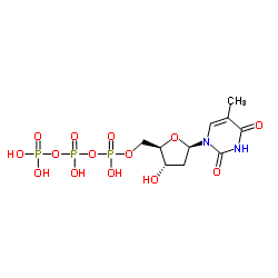 Thymidine triphosphate Thymidine triphosphate C10H17N2O14P3 ChemSpider