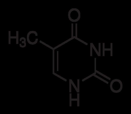 Thymine THYMINE CAS 65714 02103060 MP Biomedicals