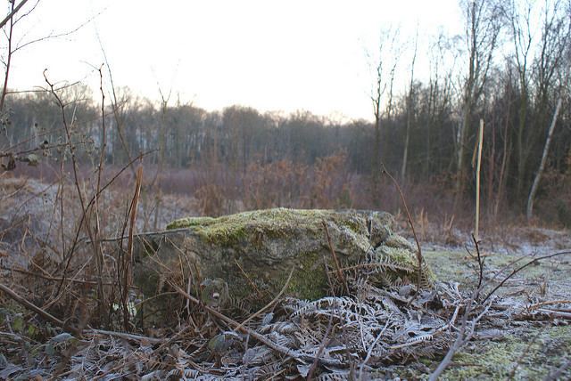 Thynghowe Thynghowe Survey Viking Sherwood Forest January 2011 Flickr