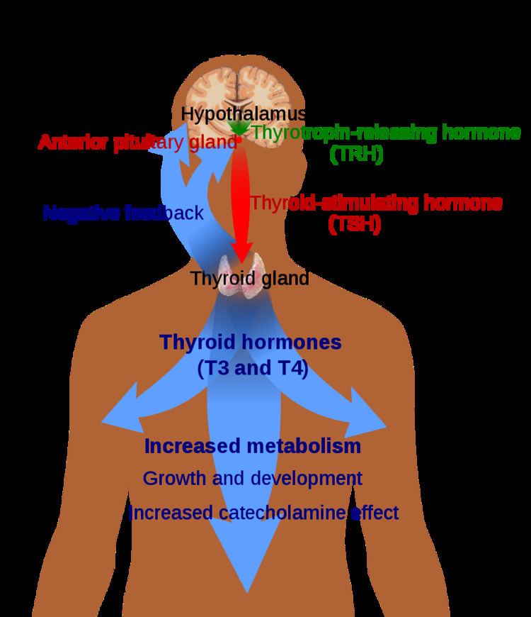 Thyroid hormone resistance