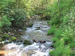 Tiadaghton State Forest httpsuploadwikimediaorgwikipediacommonsthu