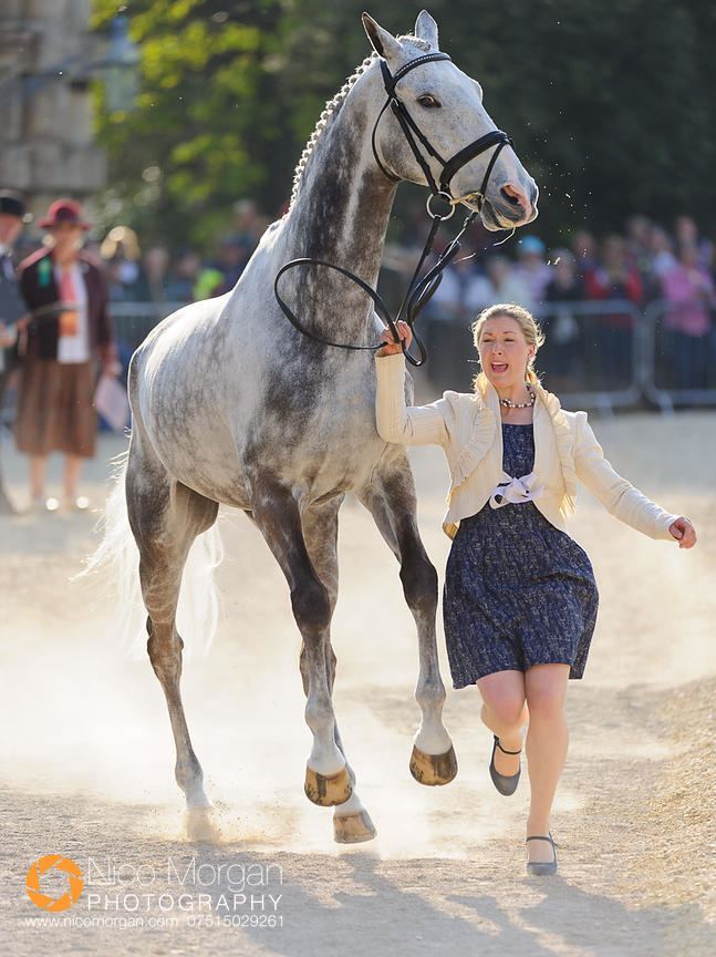 Tiana Coudray Image Tiana Coudray and RINGWOOD MAGISTER Mitsubishi