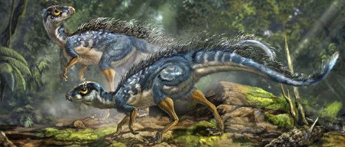 Tianyulong Tianyulong a fuzzy dinosaur that makes the origin of feathers