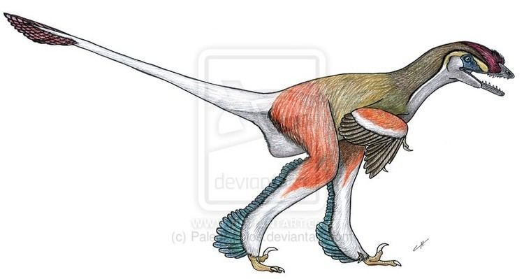 Tianyuraptor imagesdinosaurpicturesorgtianyuraptorbypaleoa