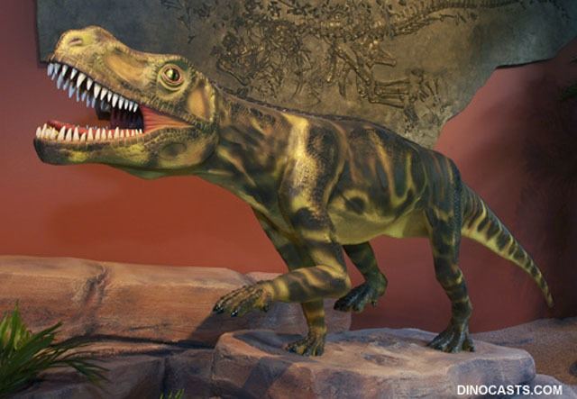 Ticinosuchus DinoCastscom Ticinosuchus flesh out model reconstruction