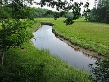 Tidal marsh httpsuploadwikimediaorgwikipediacommonsthu