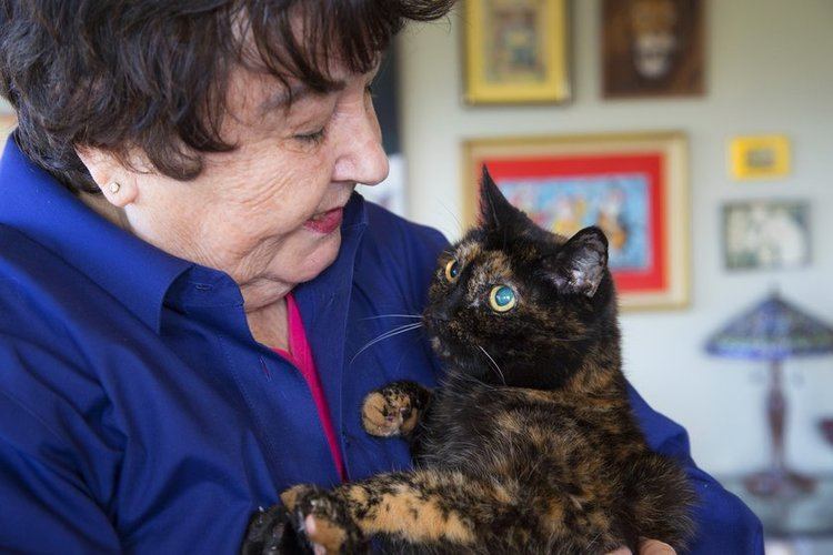 Tiffany Two Tiffany Two Guinness Records official oldest living cat nears 27th