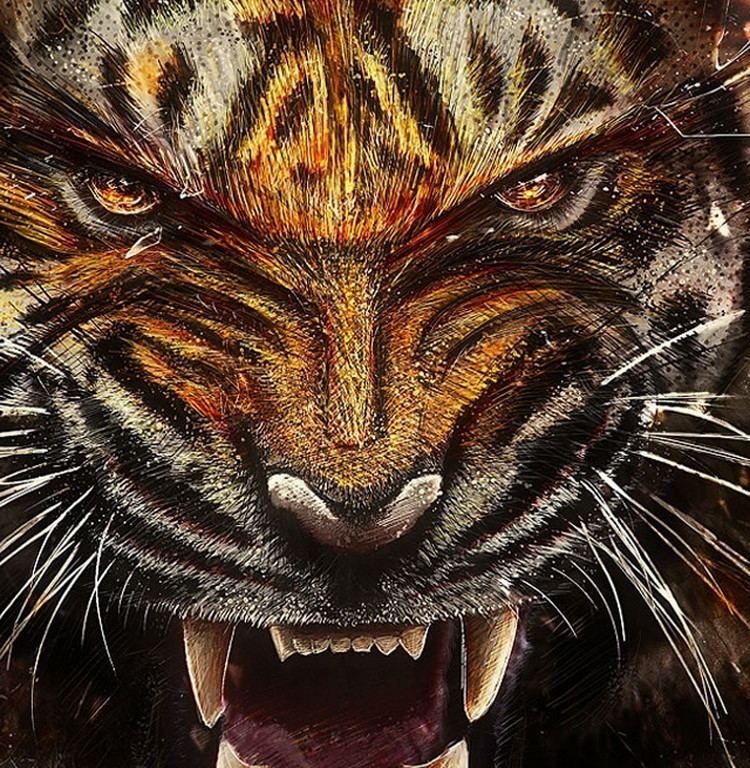 Tiger Fangs HD Wallpaper 8674