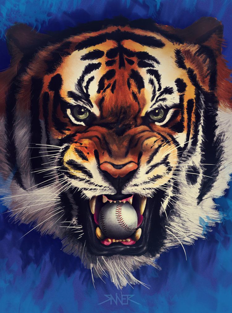 Tigres del Licey Tigres del Licey Wallpaper HD Wallpapers