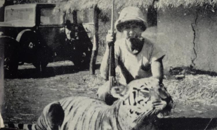 Tigress of Jowlagiri