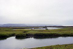 Tijuana River Estuary httpsuploadwikimediaorgwikipediacommonsthu