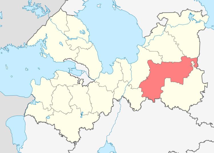Tikhvinsky District