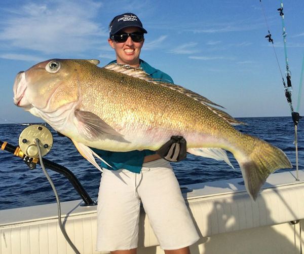 Tilefish Huge Golden Tilefish Caught Off Florida Keys Sport Fishing Magazine