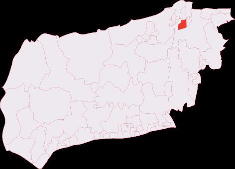 Tilgate & Furnace Green (electoral division)