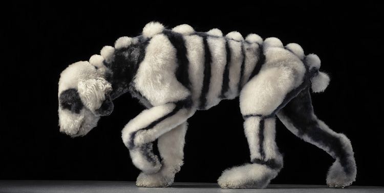 Tim Flach Tim Flach Bon Expose Museum of Art and Design