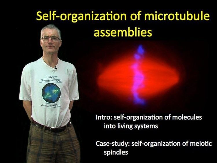 Tim Mitchison Tim Mitchison Harvard Part 1 Selforganization of microtubule