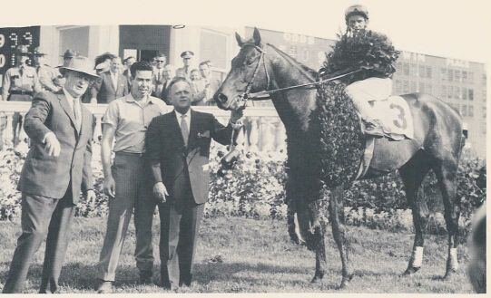 Tim Tam (horse) Tim Tam 1958 Kentucky Derby Winner