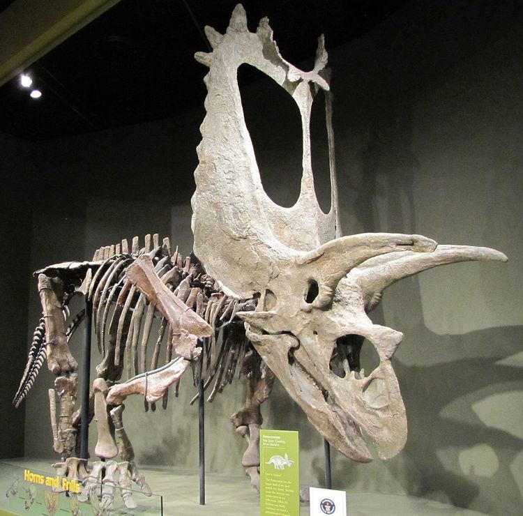 Timeline of ceratopsian research