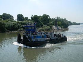 Timiș River httpsuploadwikimediaorgwikipediacommonsthu