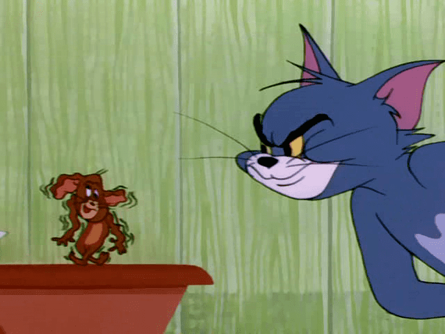 Timid Tabby 106 Tom and Jerry Cartoons