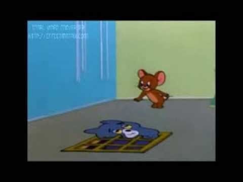 Tom And Jerry Timid Tabby YouTube