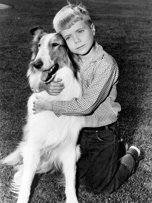 Lassie: The Wayfarers (1964) - Movie