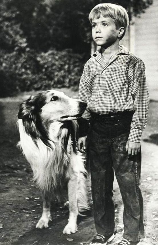 Lassie: The Wayfarers (1964) - Movie