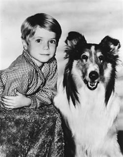 Lassie: The Wayfarers (1964) - Movie