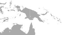 Timorese horseshoe bat httpsuploadwikimediaorgwikipediacommonsthu
