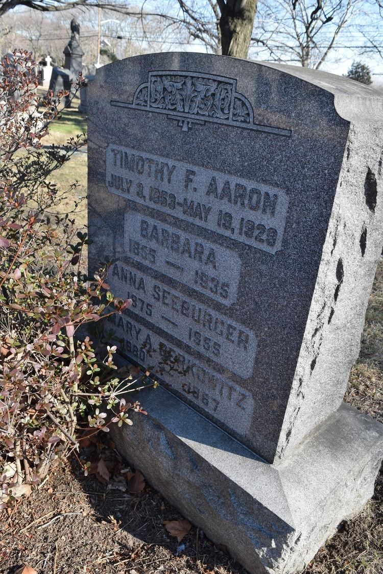 Timothy Francis Donovan Aaron Timothy Francis Donovan Aaron 1853 1929 Find A Grave Memorial