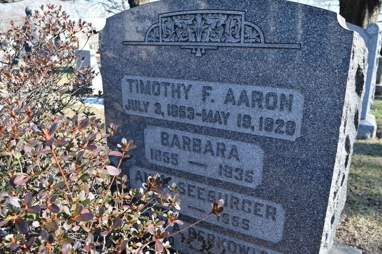 Timothy Francis Donovan Aaron Timothy Francis Donovan Aaron 1853 1929 Find A Grave Memorial