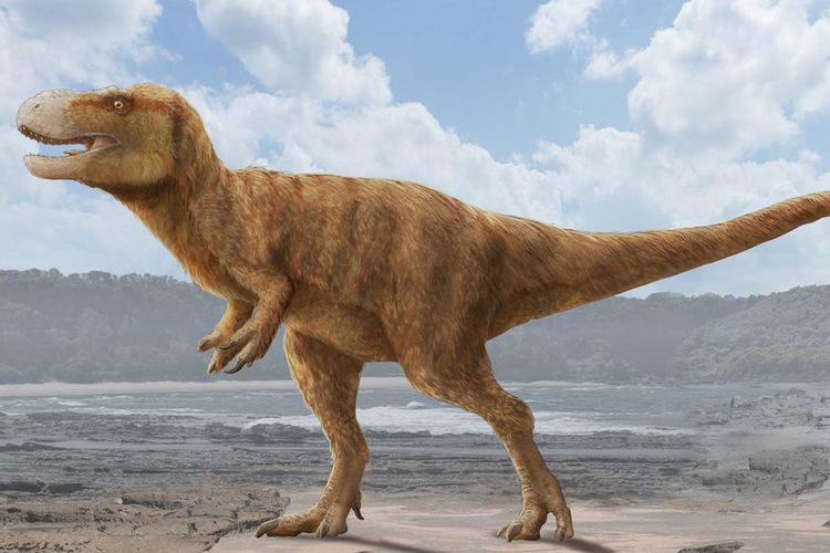 Timurlengia T rex39s smaller cousin was dinosaur brainiac Earth Archives