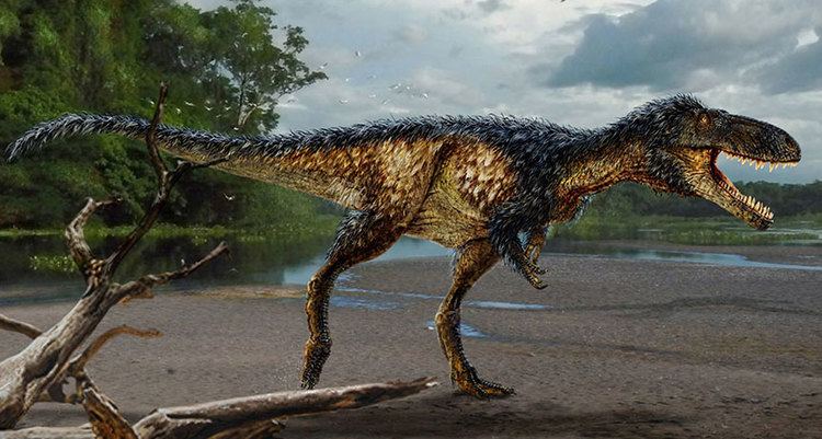 Timurlengia Timurlengia euotica New 39dinosaur species39 in tyrannosaur family