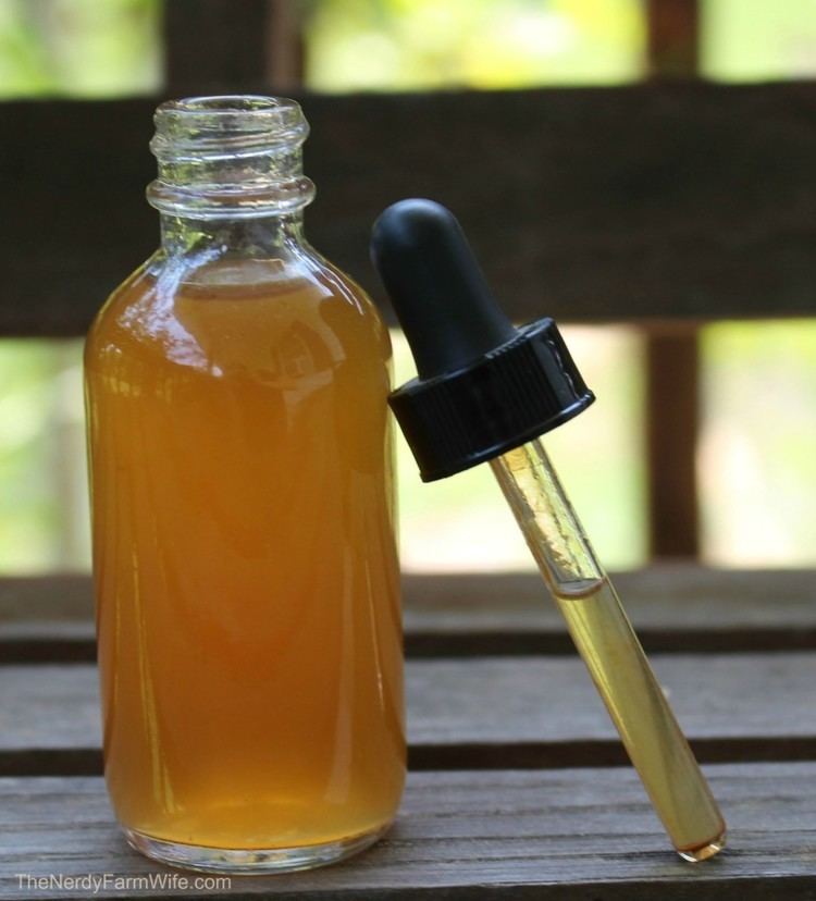 Tincture How to Make a Ginger Tincture The Nerdy Farm Wife