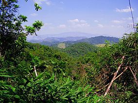 Tinguá Biological Reserve httpsuploadwikimediaorgwikipediacommonsthu
