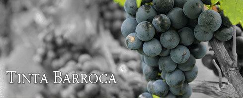 Tinta Barroca Tinta Barroca Wein online kaufen