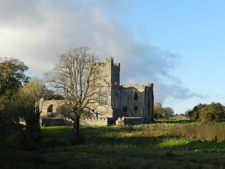 Tintern Abbey (County Wexford)