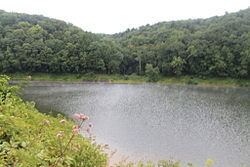 Tionesta Township, Forest County, Pennsylvania httpsuploadwikimediaorgwikipediacommonsthu